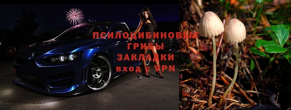 гашик Белокуриха