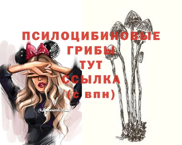 метадон Семёнов