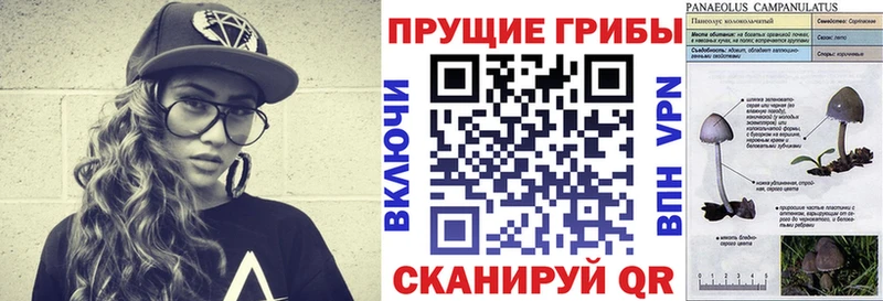 Галлюциногенные грибы GOLDEN TEACHER  Щигры 